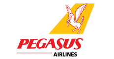 pegasus